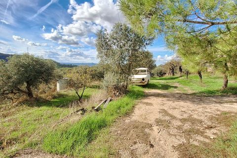 Finca i Tivissa, Tarragona, Tivissa - € 98 000 | Ref: CC833 - foto 13
